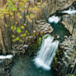 Meet your Posher, Daryl